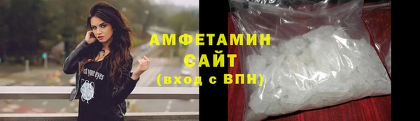 гидра Бородино