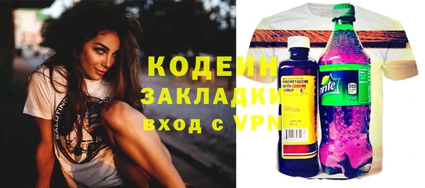 гидра Бородино