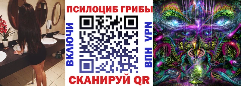 Псилоцибиновые грибы Cubensis  Дзержинский 